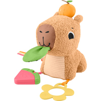 Фото Развивающая игрушка Fisher-Price Капибара HYR54