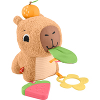 Фото Развивающая игрушка Fisher-Price Капибара HYR54