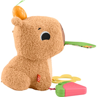 Фото Развивающая игрушка Fisher-Price Капибара HYR54