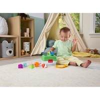 Сортер Fisher Price Маленький рыбак JLB85